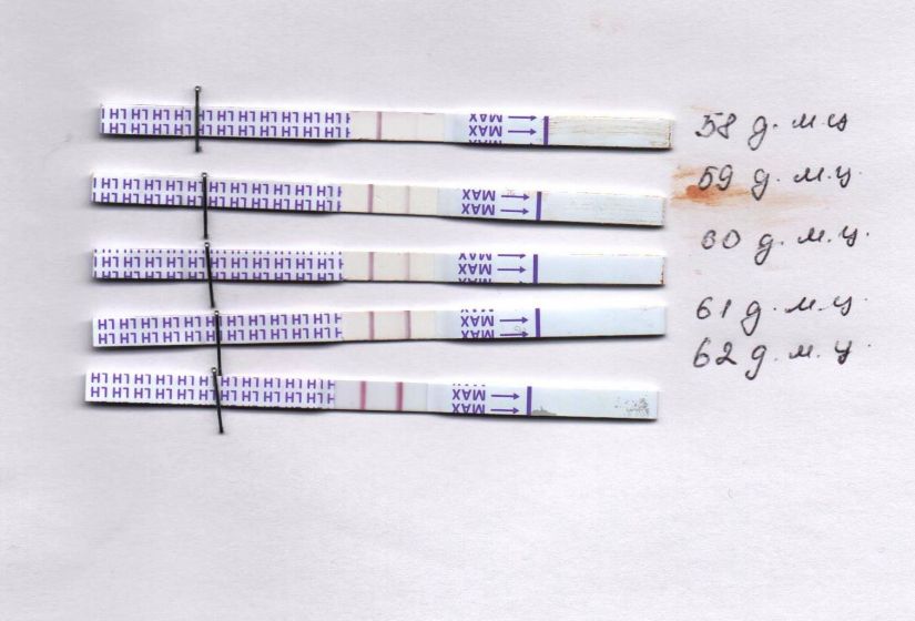 Тест на беременность. как он работает? когда и как делается? виды теста на беременность