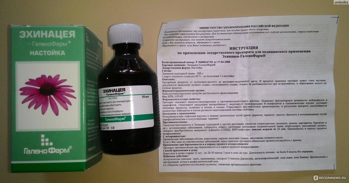 Эхинацея п