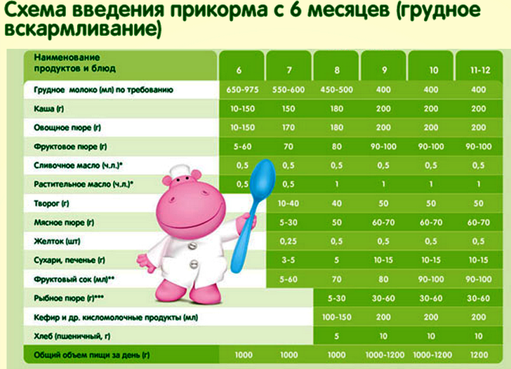 Виноград детям: с какого возраста можно давать, польза и вред | vskormi.ru | дзен