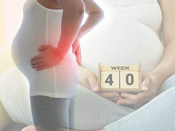 40 неделя беременности: ощущения, признаки, развитие плода