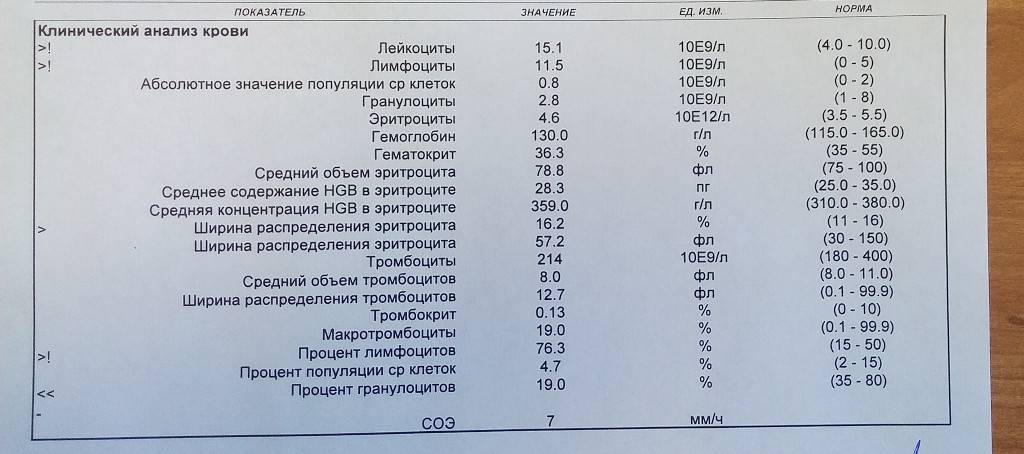 Нейтрофилы понижены у ребенка, о чем это говорит? причины пониженного уровня нейтрофилов у ребенка