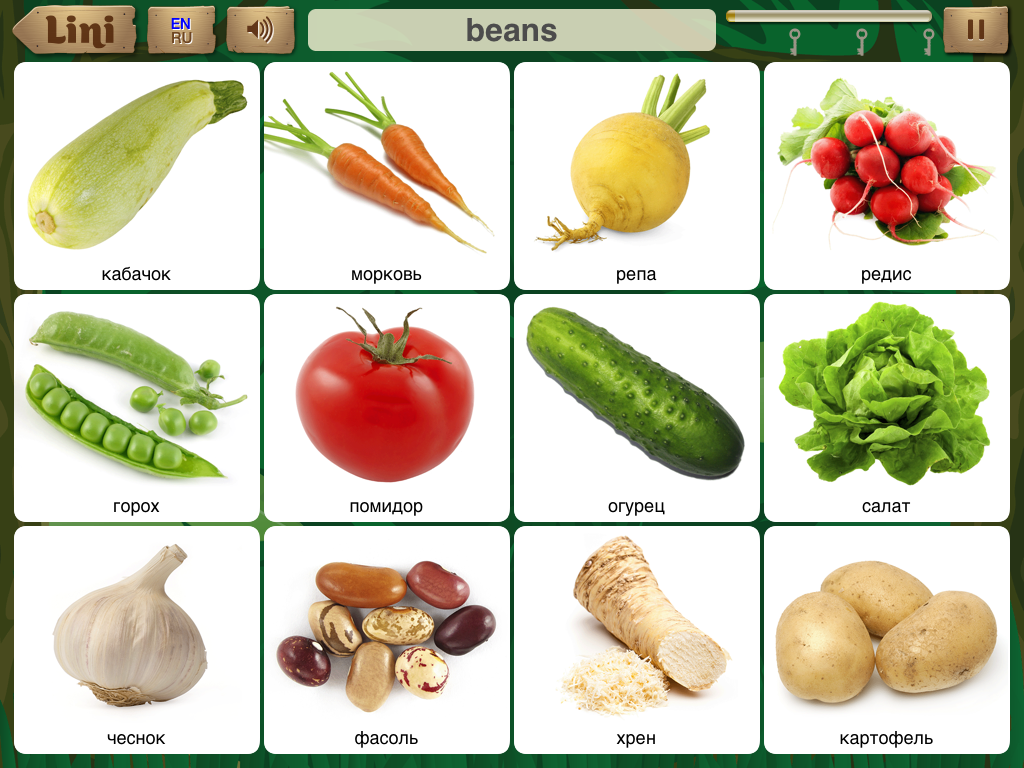 Учим овощи (карточки домана)