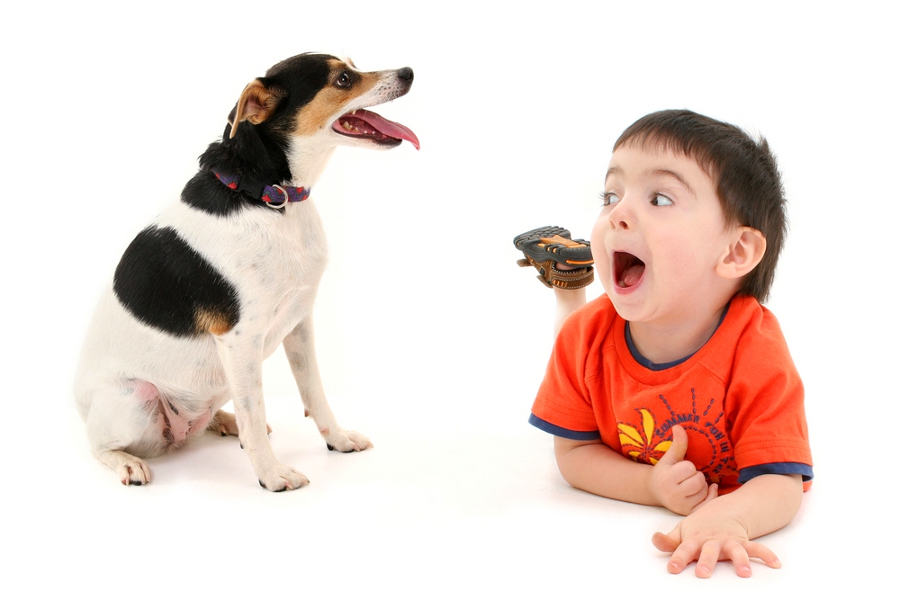 Собака обижает ребёнка. признаки агрессии и меры пресечения