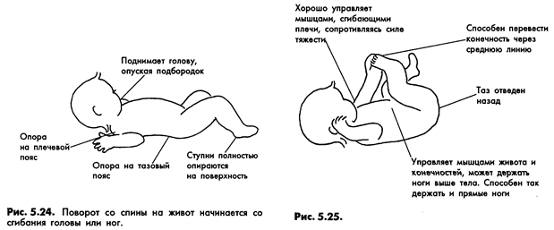 Перевороты с живота на спину во сколько. Нормальное положение новорожденного. Переворот на живот новорожденного. Положение новорожденного на животе. Положение ребенка в 3 месяца.