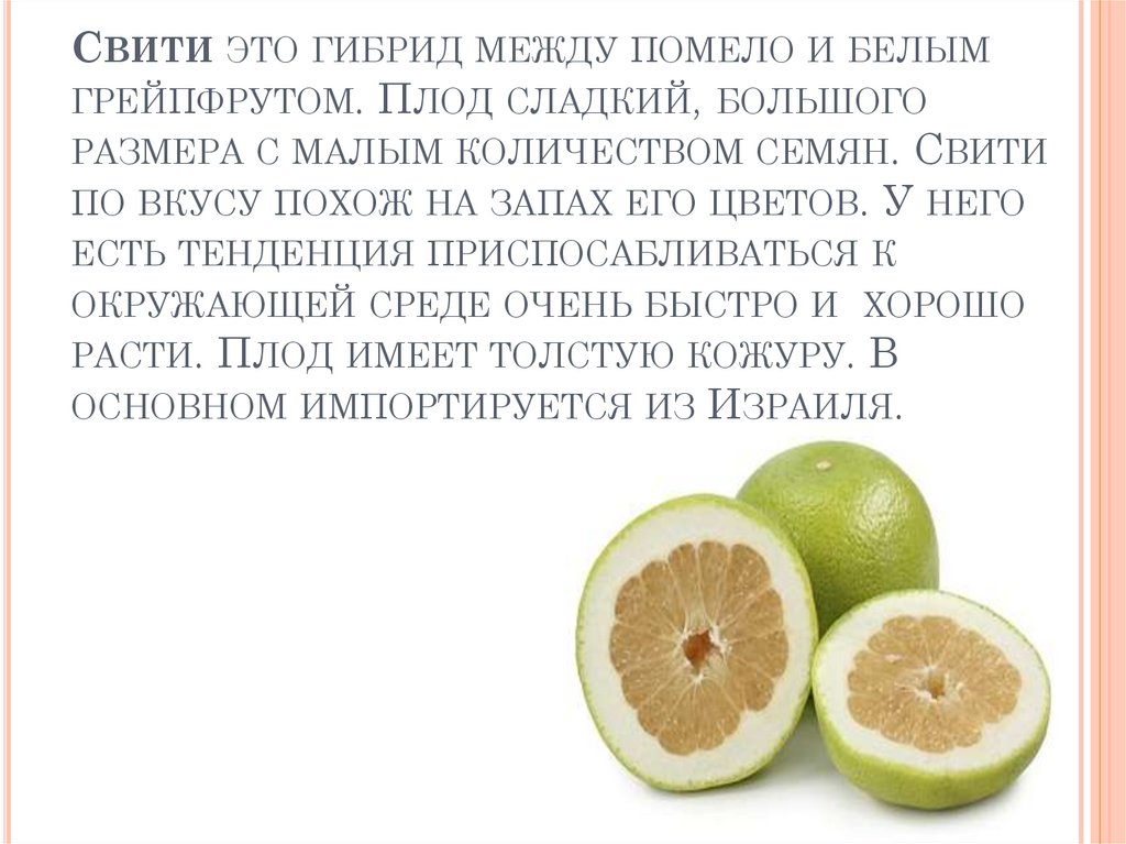 Свити: что это за фрукт и как выбрать спелый плод