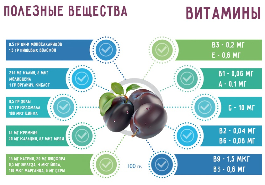 Особенности меню кормящей мамы