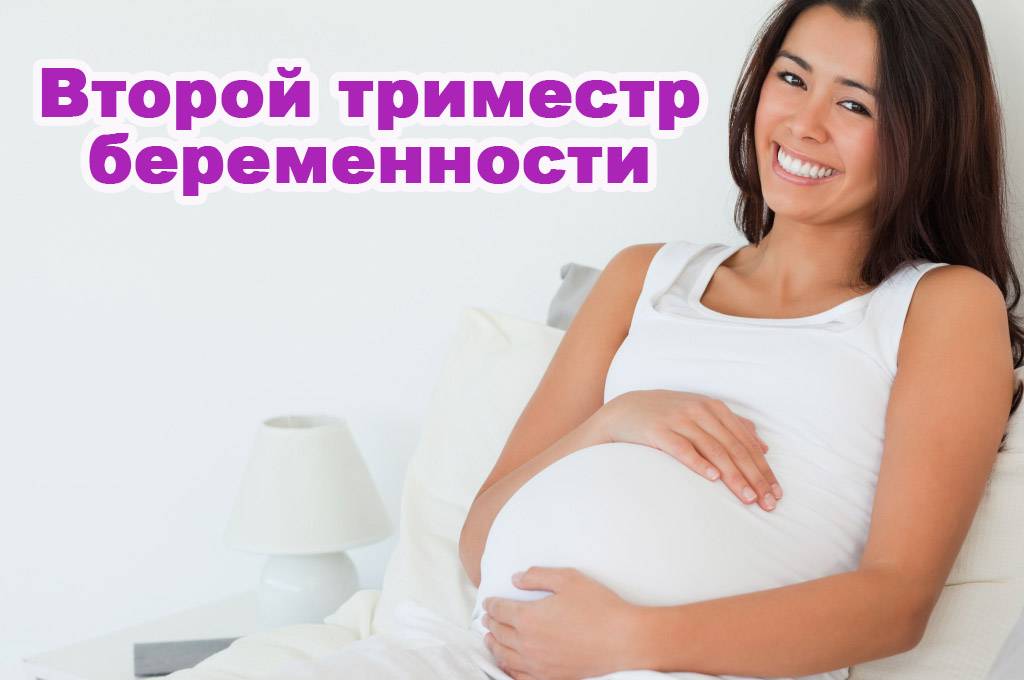 Первый триместр беременности – «интернет-кабинет здорового ребенка»