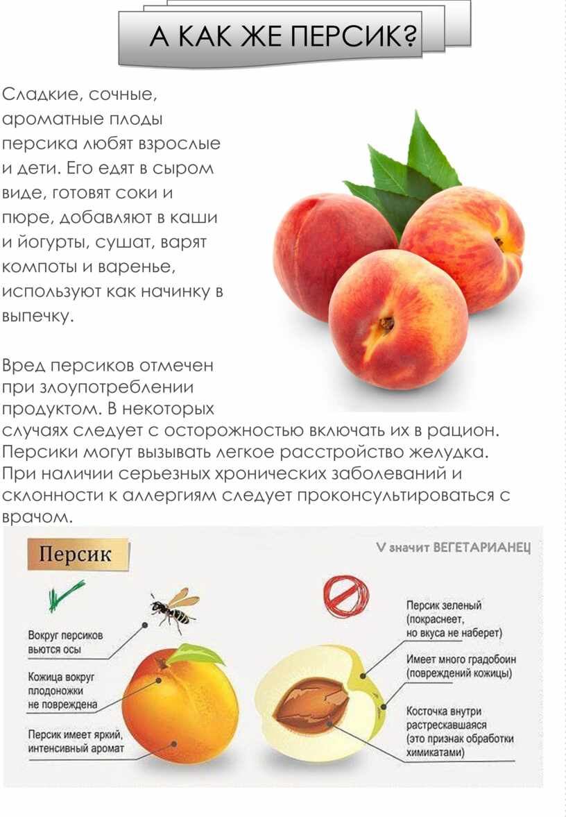 Что значит персик у девушки. Персик размер плода. Описание плода персика. Можно ли нектарин при аллергии. Классификация персиков.