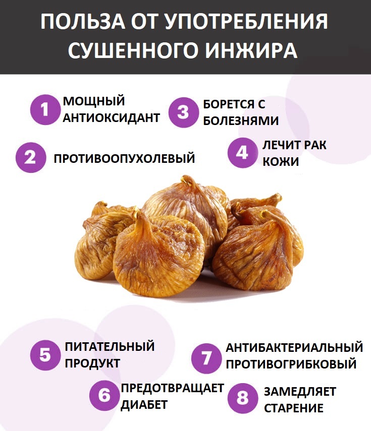 Инжир: полезные свойства, состав, сорта