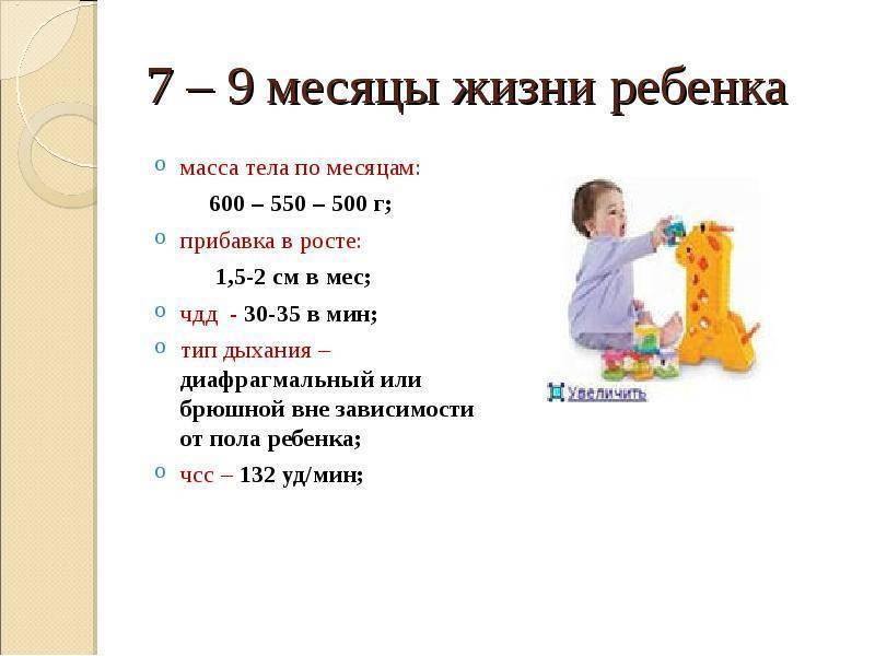 Ребенку 7 месяцев: развитие ребенка в 7 месяцев, вес, рост, режим дня