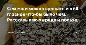 Питаемся правильно во время беременности