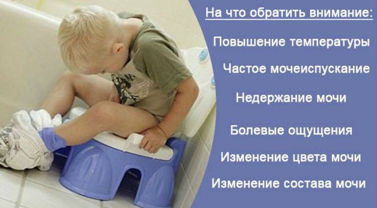 Детский энурез: причины и лечение