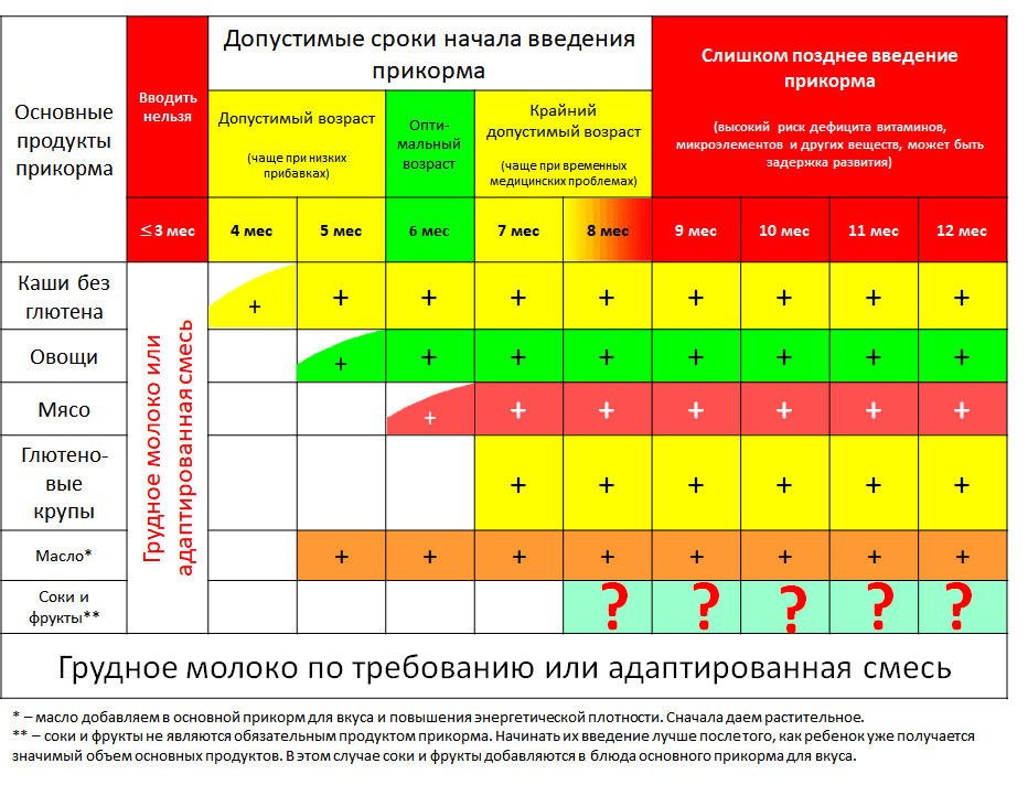 Последовательность продуктов прикорма. Современная схема введения прикорма. Прикорм очередность введения продуктов. Прикорм поочередность продуктов. Последовательность ввода продуктов в прикорм.