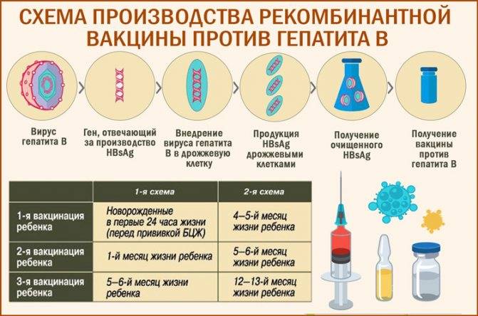 Прививка от гепатита в детям: описание, схема вакцинации, побочные эффекты