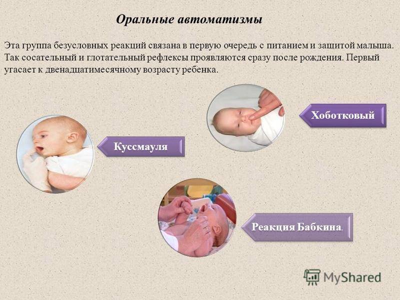 Рефлексы бабинского, галанта, бабкина и моро у новорожденного и таблица по месяцам
