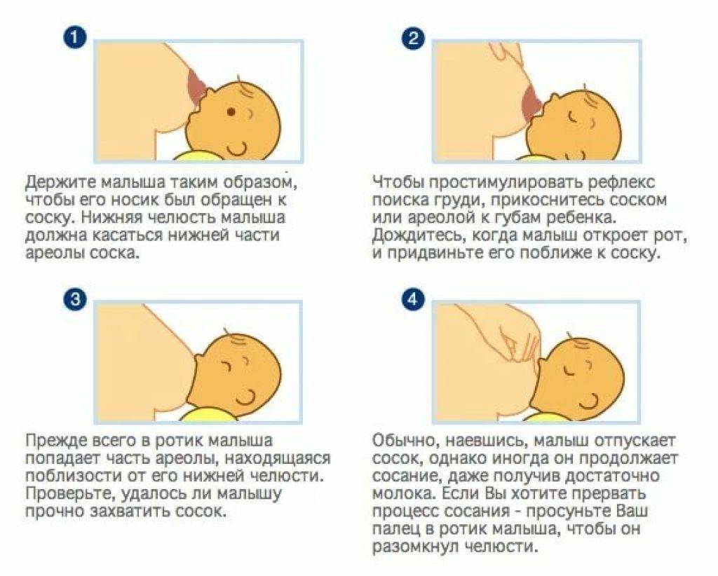 Как правильно кормить грудью новорождённого - правила и рекомендации