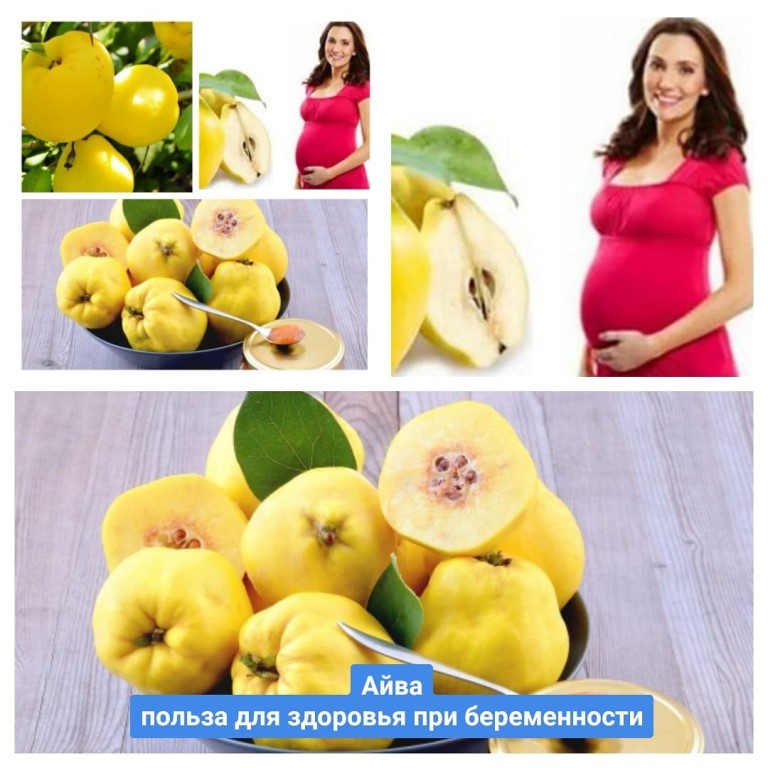 Айва при беременности: польза и вред, приготовление и употребление