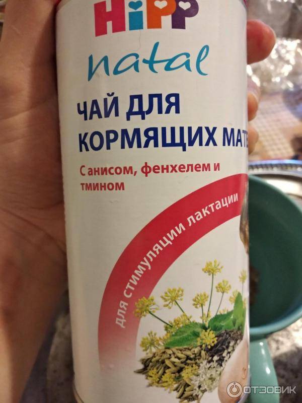 Фенхель для новорождённых | уроки для мам