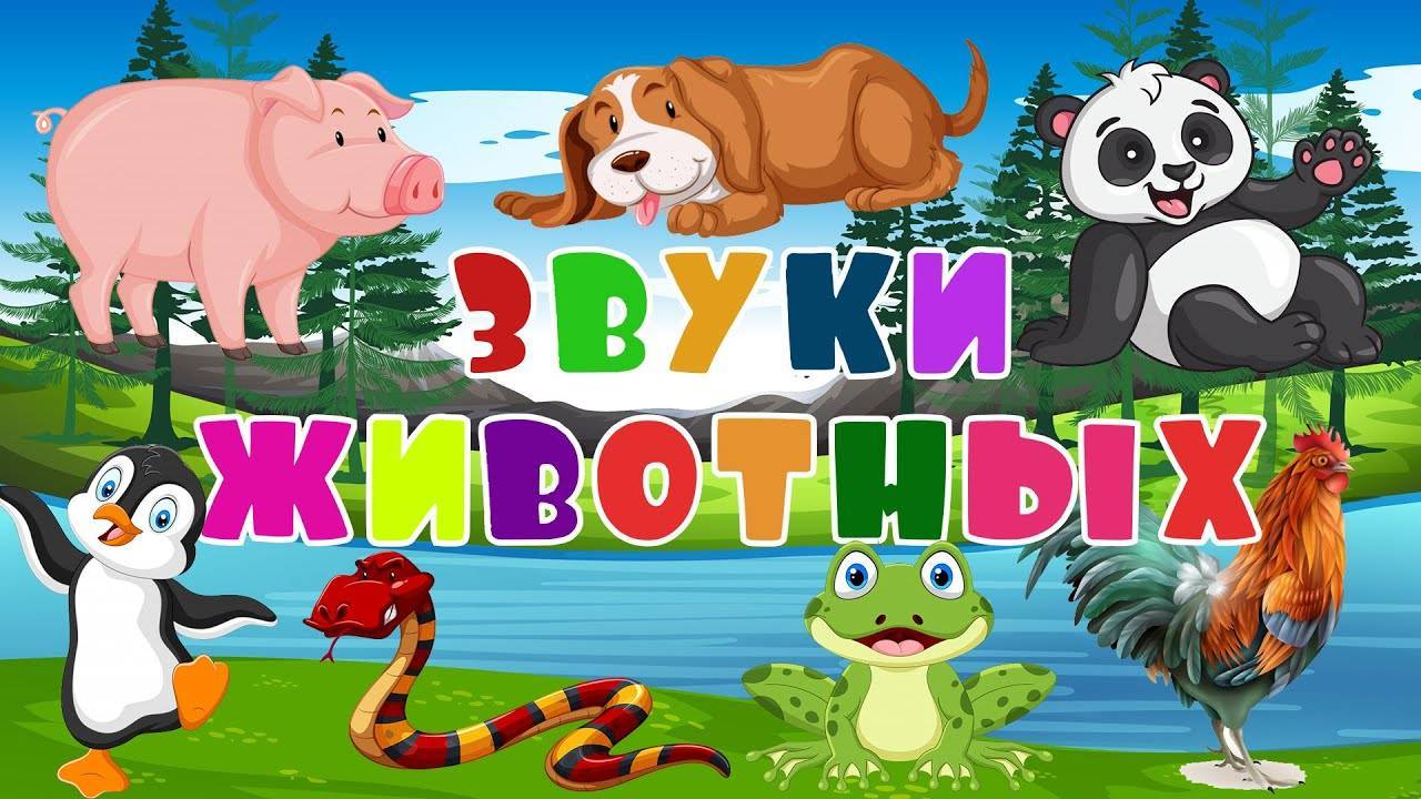Звуки животных: как говорят домашние и дикие звери, список описаний звуков для изучения ребёнком