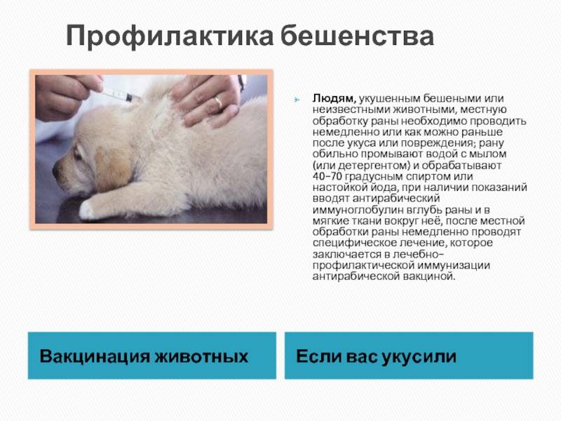 Отек квинке у детей