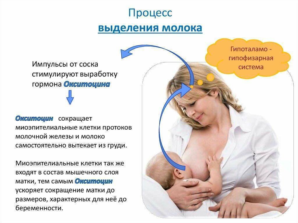 Как наладить грудное вскармливание по требованию - agulife.ru