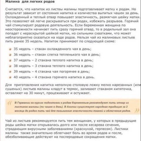 Листья малины при беременности
