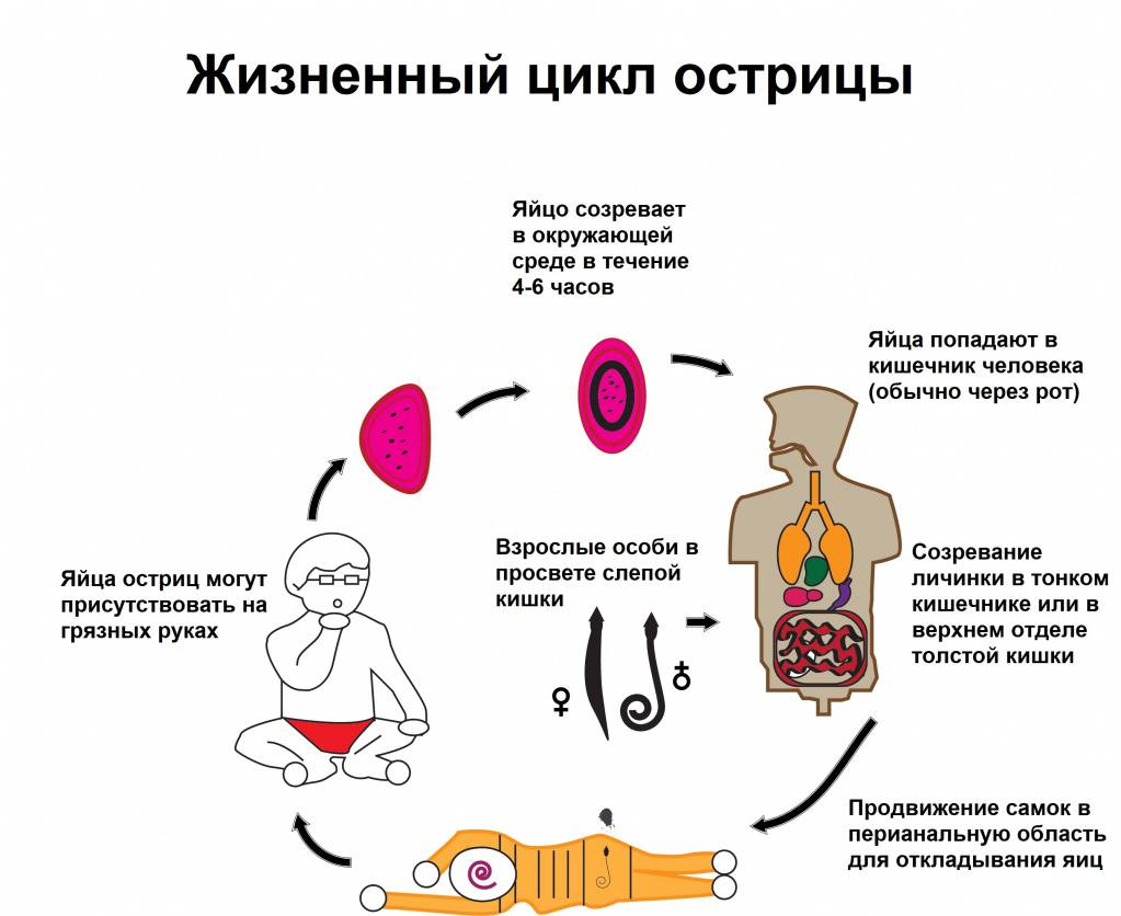 Месалазины / блог / клиника эксперт