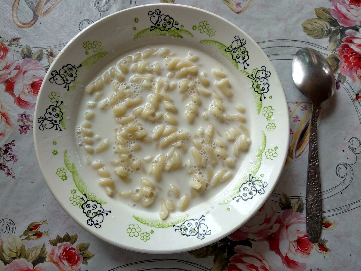 Молочный суп с вермишелью — 7 вариантов вкусного супа