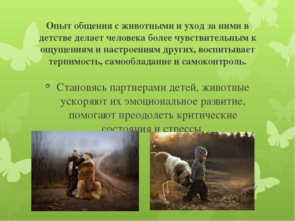 Зачем детям домашние животные? | животные | школажизни.ру