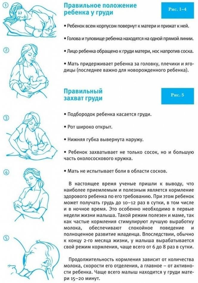 Правильное прикладывание к груди / mama66.ru