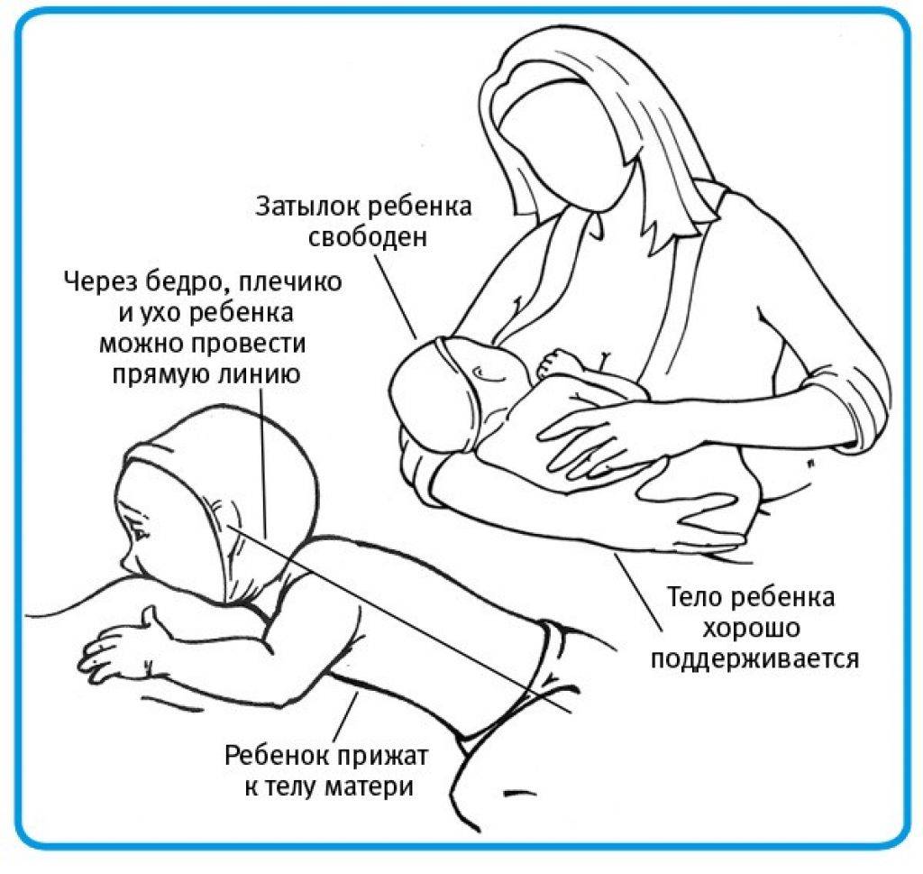 Как прикладывать новорожденного ребенка к груди: правильная техника при грудном вскармливании