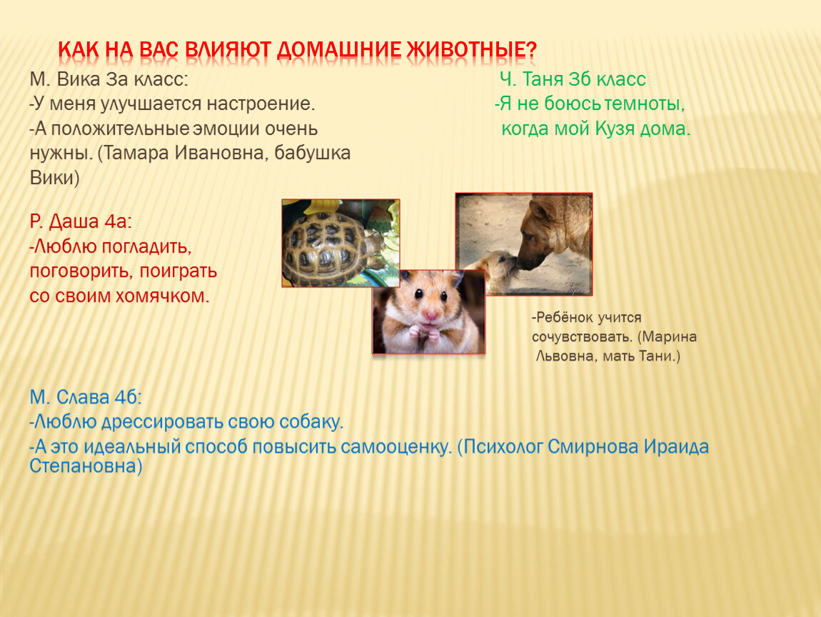 Дети и домашние животные