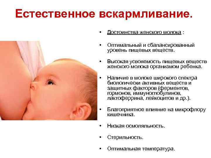 Грудное вскармливание по месяцам — в 3, 4, 5, 6 месяцев | mother-clinic.ru