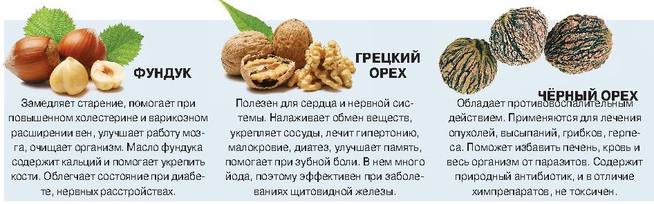 Орехи детям грецкие фундук кедровые