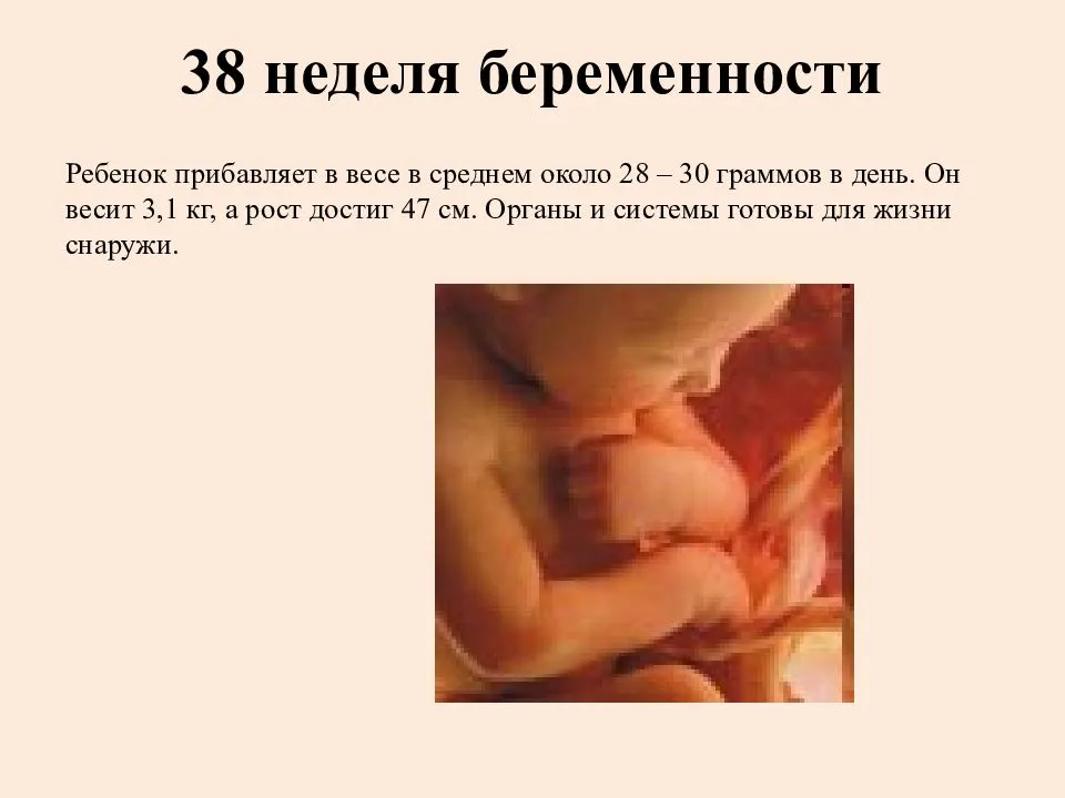 Особенности 38 недели беременности