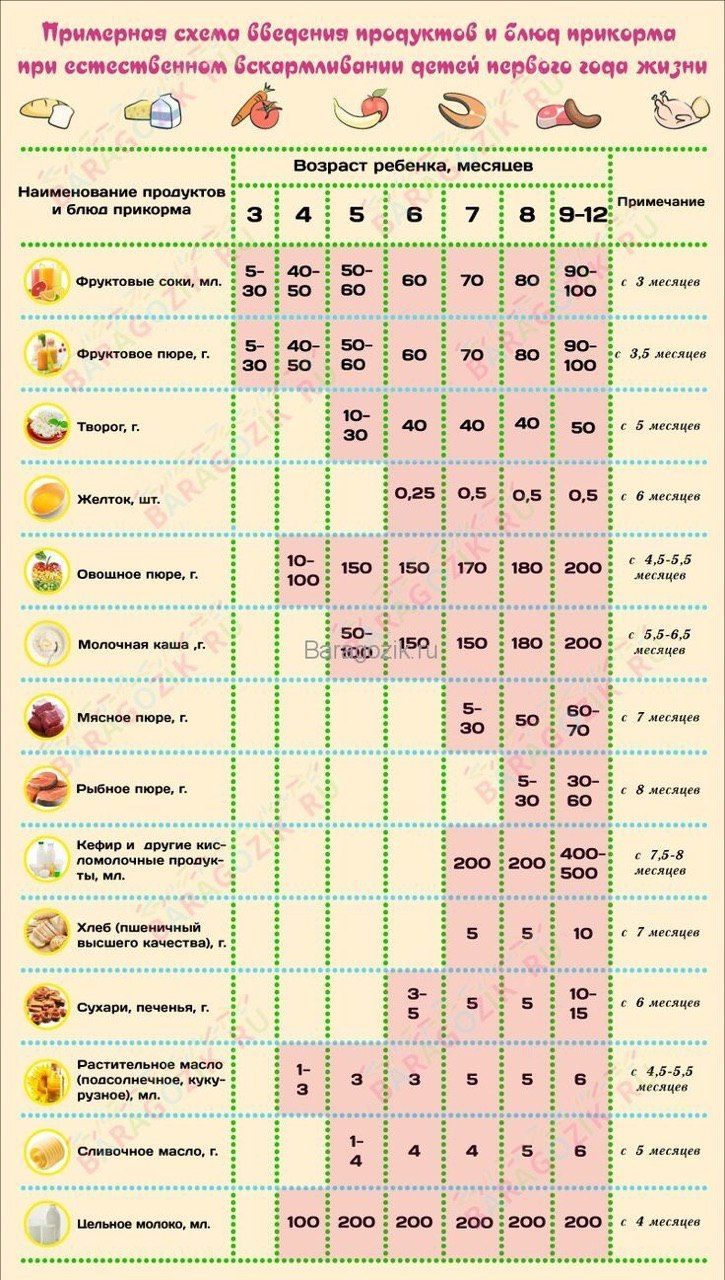 Таблица прикорма - схема введения прикорма для ребенка по месяцам | prikorm.org
