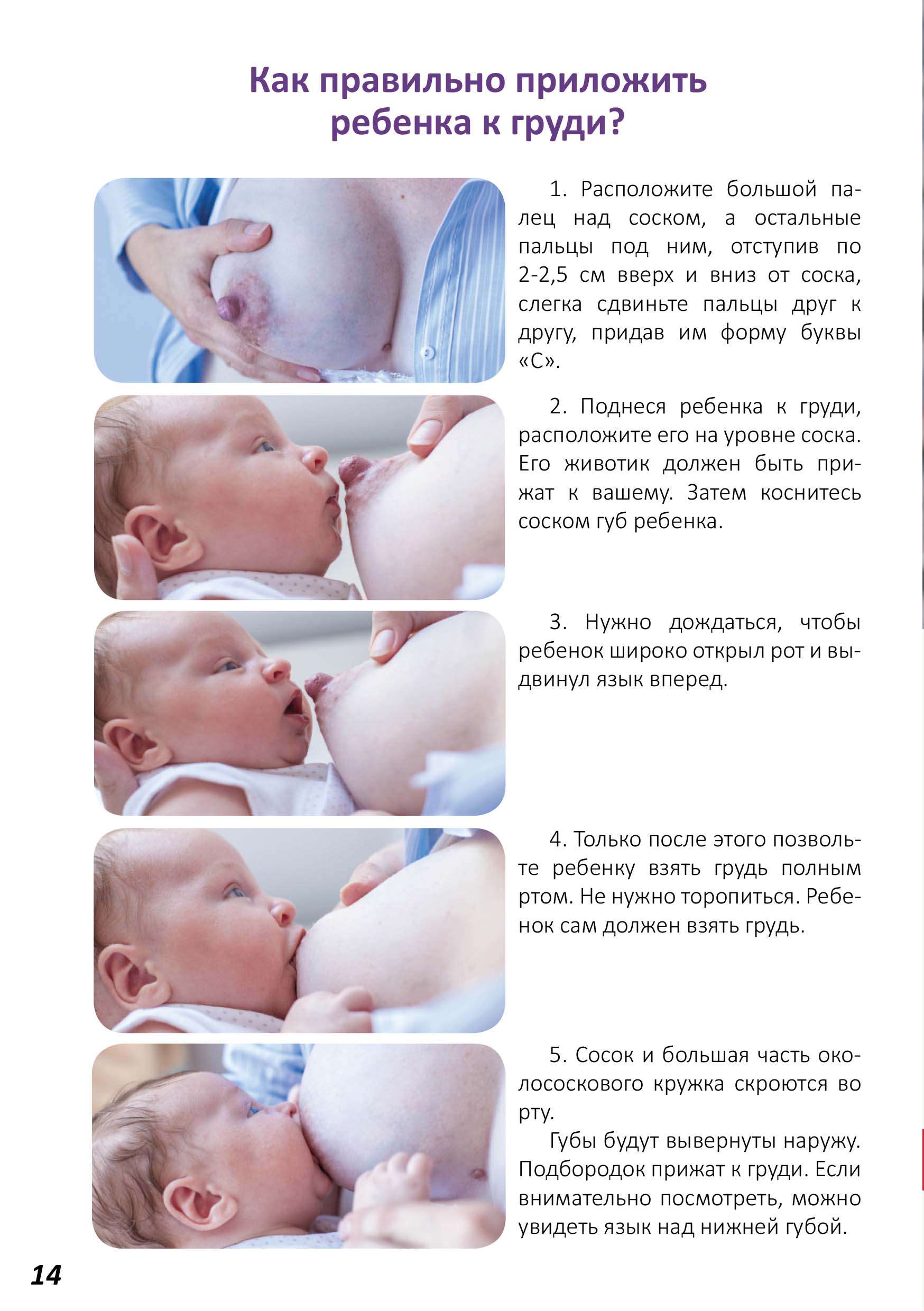 Кормление новорожденного грудным молоком: позы и сложности ГВ