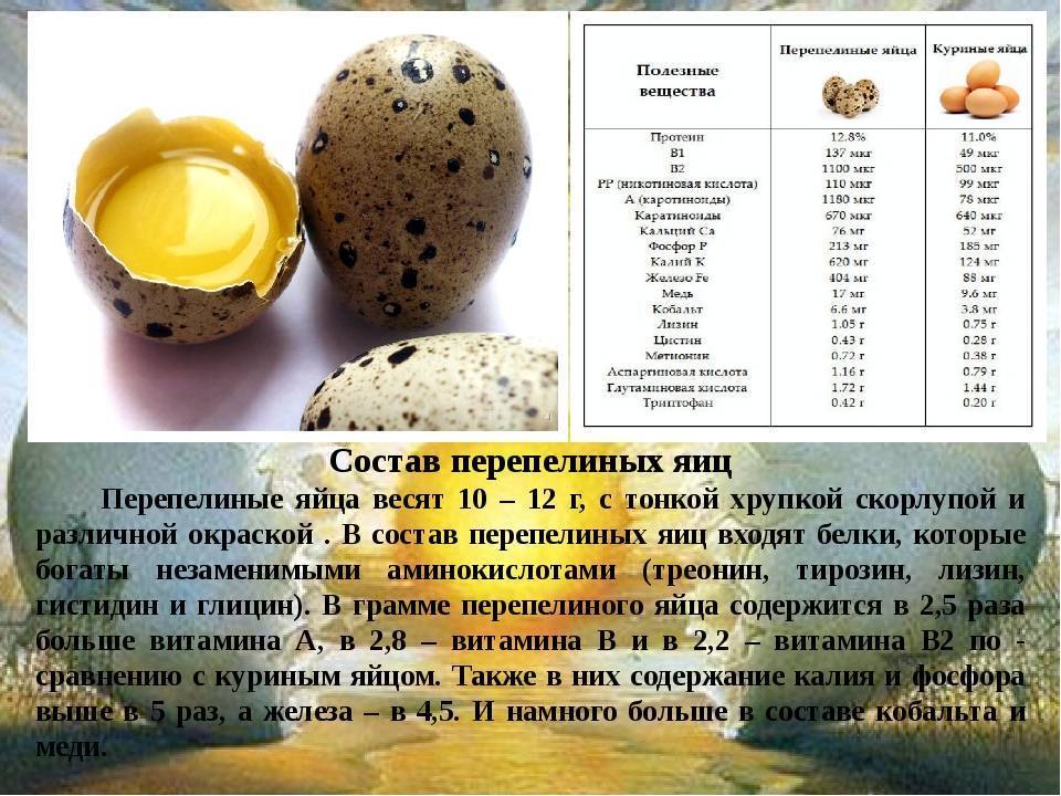 Яйца при грудном вскармливании: можно ли вареные или омлет в первый месяц гв
