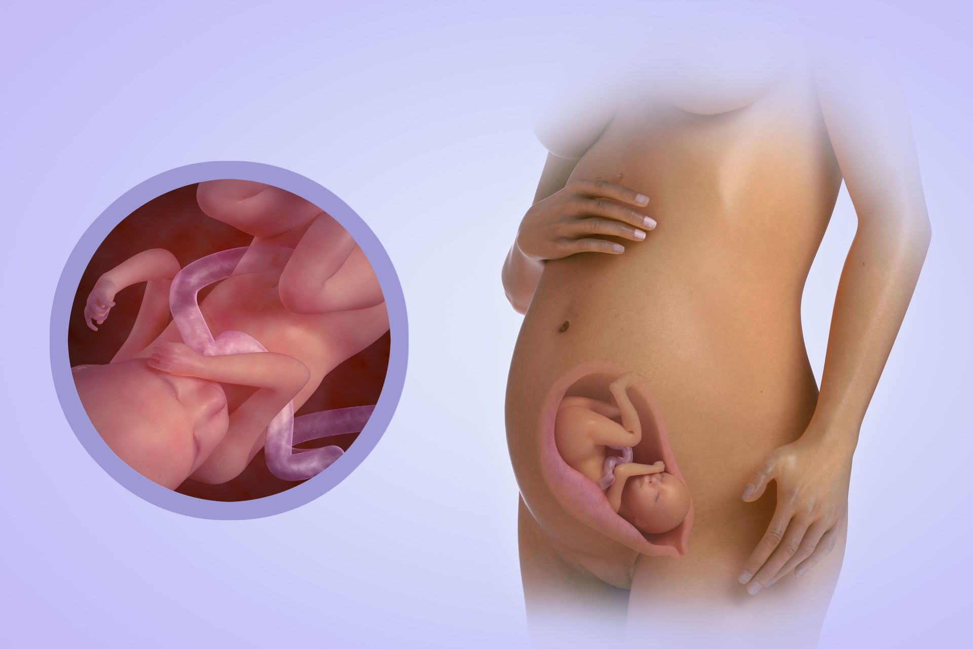 31 неделя беременности – ребенок, плод, живот, вес, это сколько месяцев