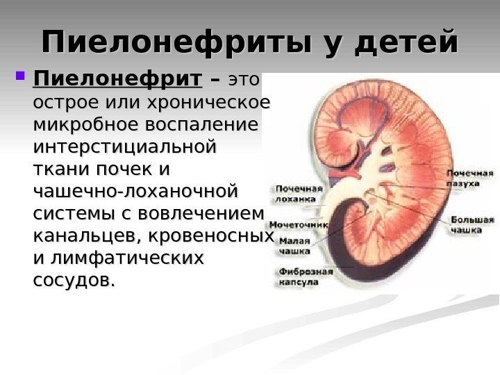 Расширена (увеличена) лоханка почки у детей: виды пиелоэктазии, причины, симптомы, диагностика и методы лечения, особенности у грудничка