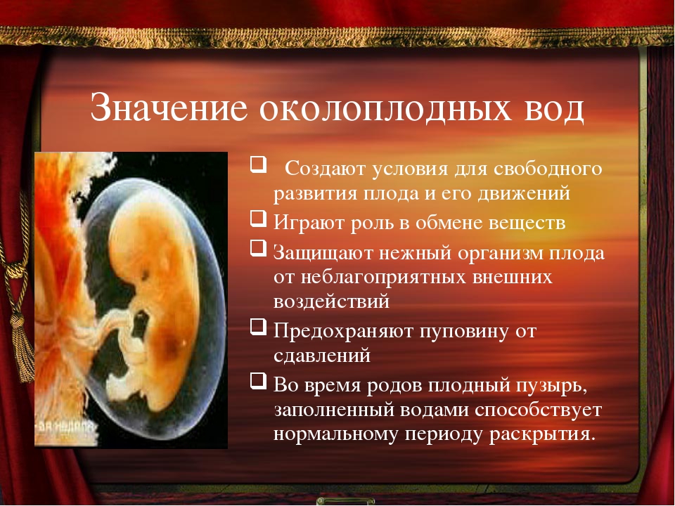 Что чувствует ребёнок в утробе мамы