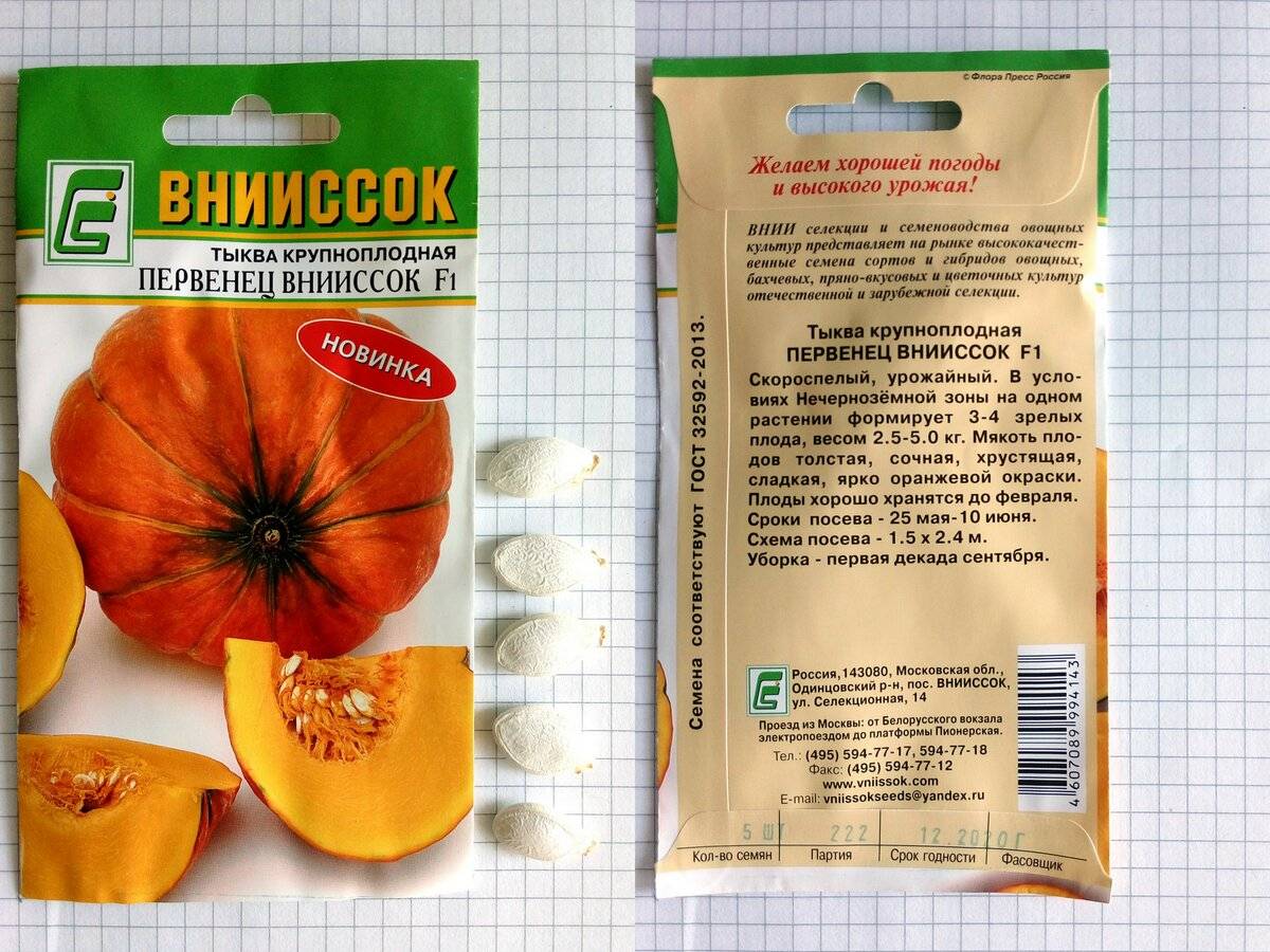 Семена подсолнуха в рационе детей. с какого возраста ребенку можно семечки