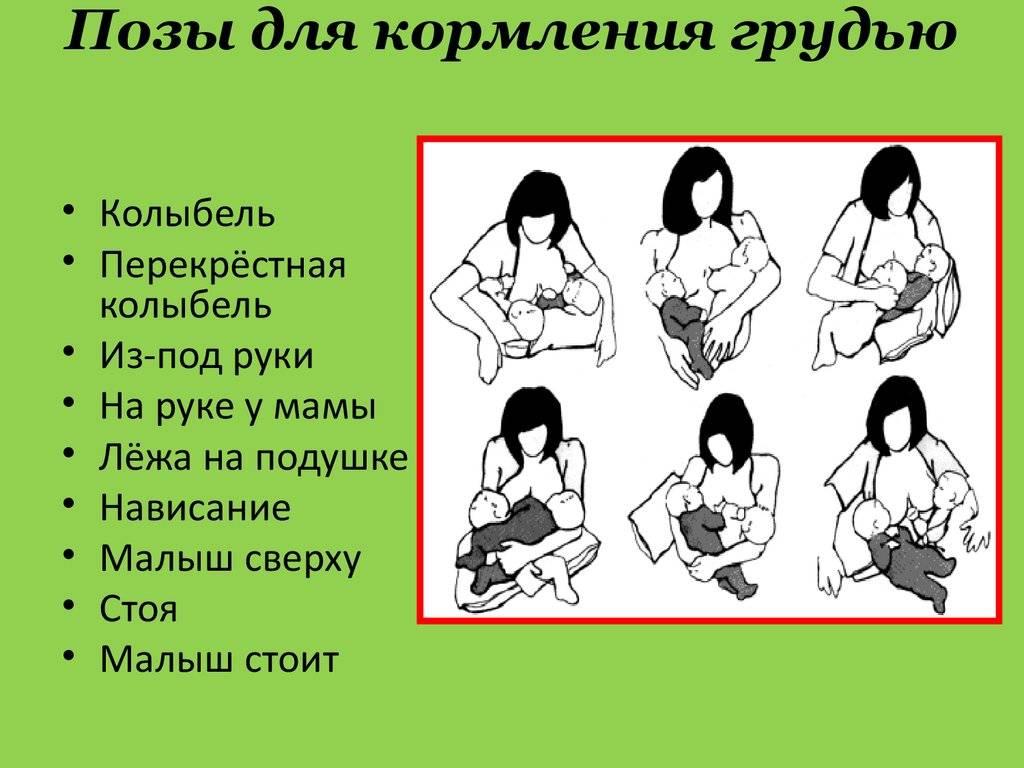 Позы для кормления новорожденных грудным молоком
