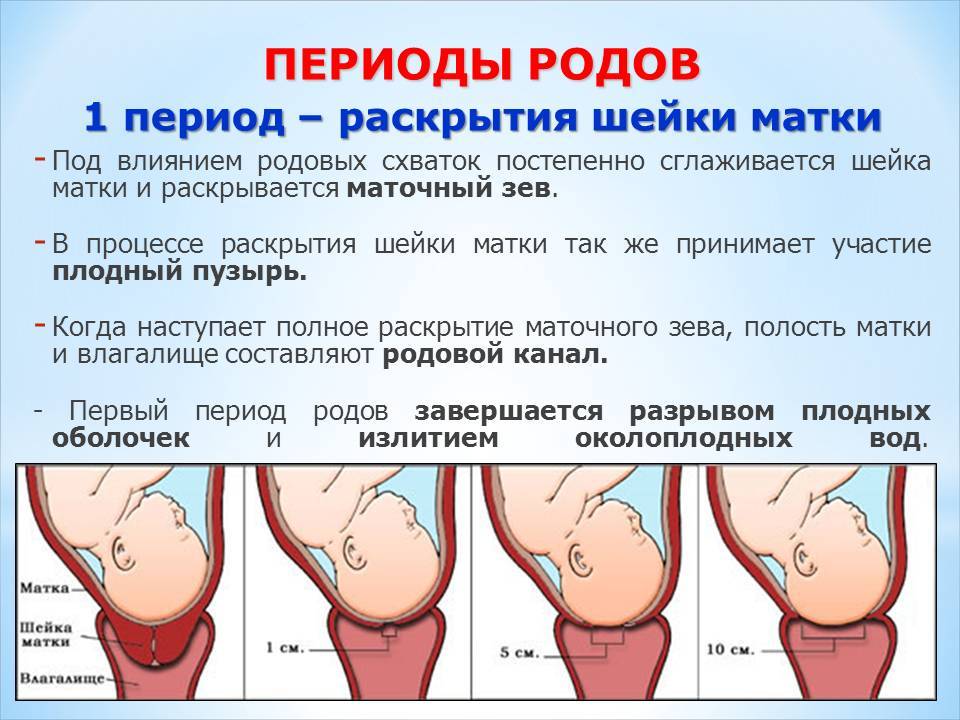 Гипоксия плода при беременности: причины, симптомы и лечение • центр гинекологии в санкт-петербурге