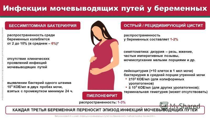 Цистит при беременности. чем лечить цистит на ранних сроках беременности