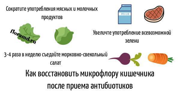 Как восстановить ребенка после антибиотиков: пробиотики, зож или домашний арест? - новости yellmed.ru
