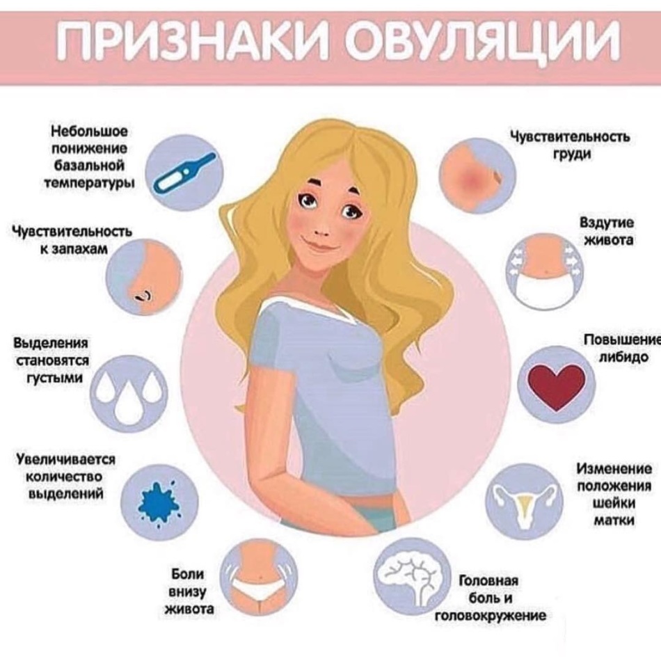Норма менструации: правильные показатели и нарушения