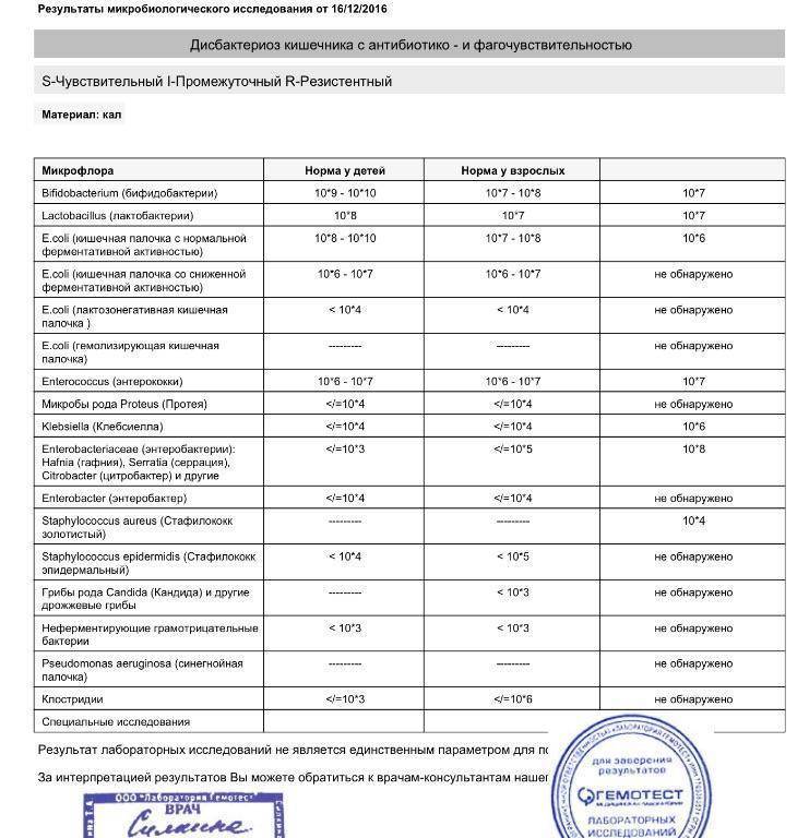Стафилококк – стафилококковые инфекции