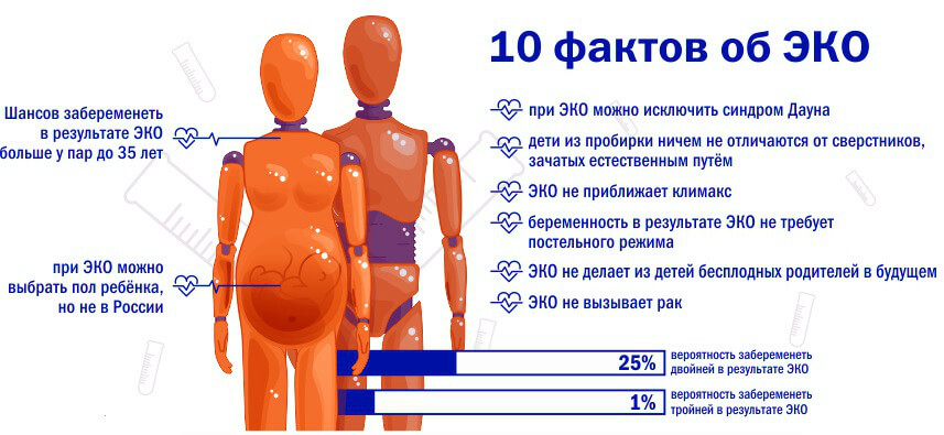 Почему не получается забеременеть? гинеколог-репродуктолог разрушает распространенные заблуждения - новости yellmed.ru