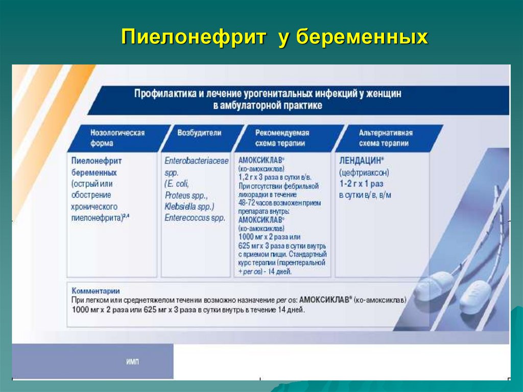 Пиелонефрит при беременности (болят почки)